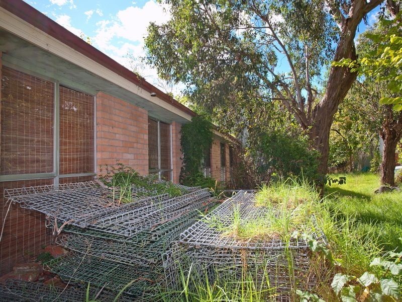 19 Robinia Street, Frankston VIC 3199