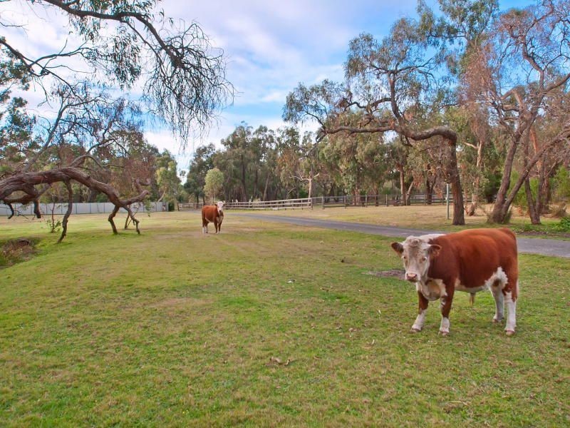 60 Valley Road, Langwarrin VIC 3910
