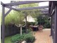 24 Olearia Crescent, Langwarrin VIC 3910