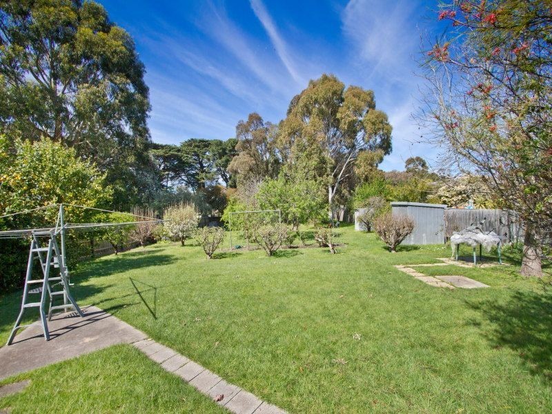 56 Shandon Street, Mornington VIC 3931