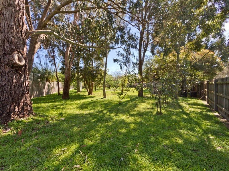 56 Shandon Street, Mornington VIC 3931