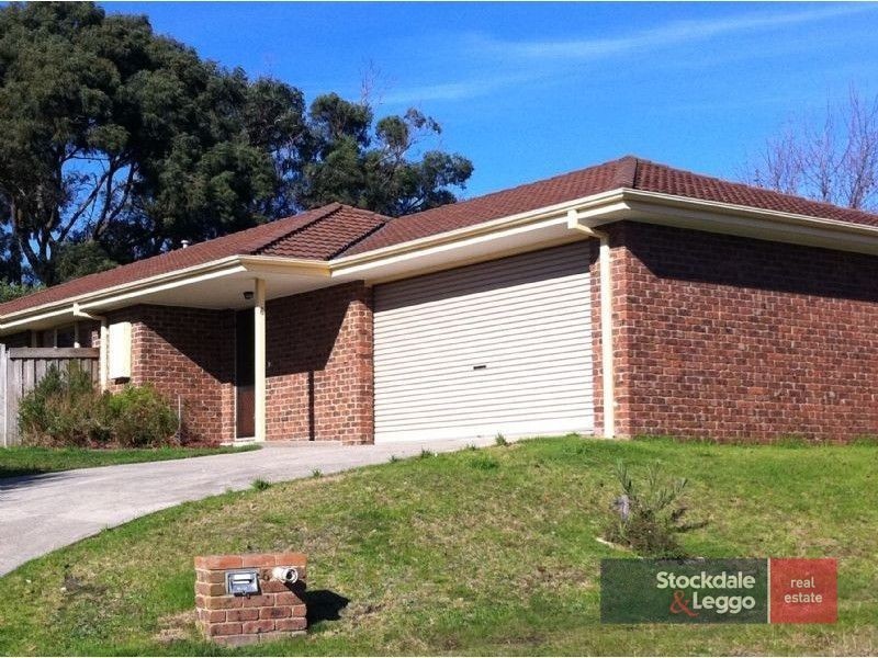 6 Daniel Drive, Langwarrin VIC 3910