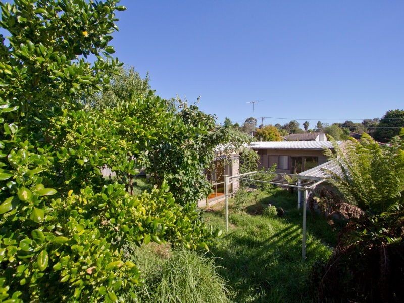 31 Wangarra Road, Frankston VIC 3199
