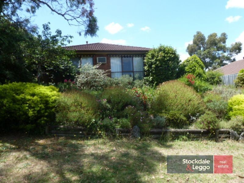 7 Carisbrook Court, Langwarrin VIC 3910