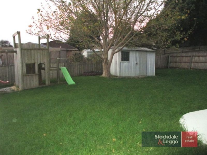 11 Australis Close, Langwarrin VIC 3910