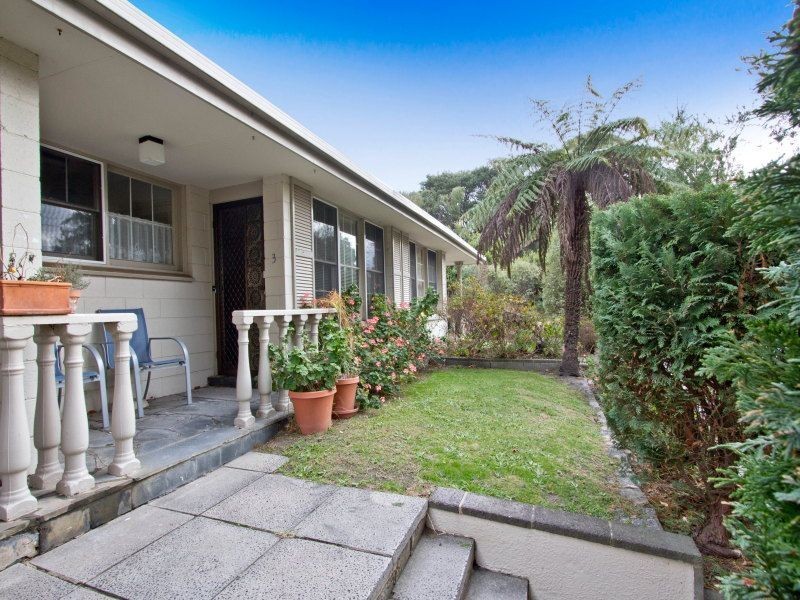 3/36 Denbigh Street, Frankston VIC 3199