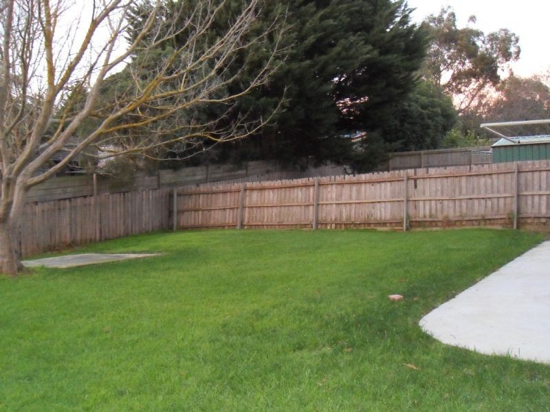 11 Australis Close, Langwarrin VIC 3910