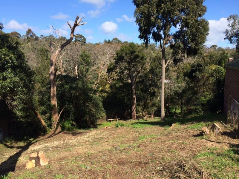 16 Pastoral Street, Frankston South VIC 3199