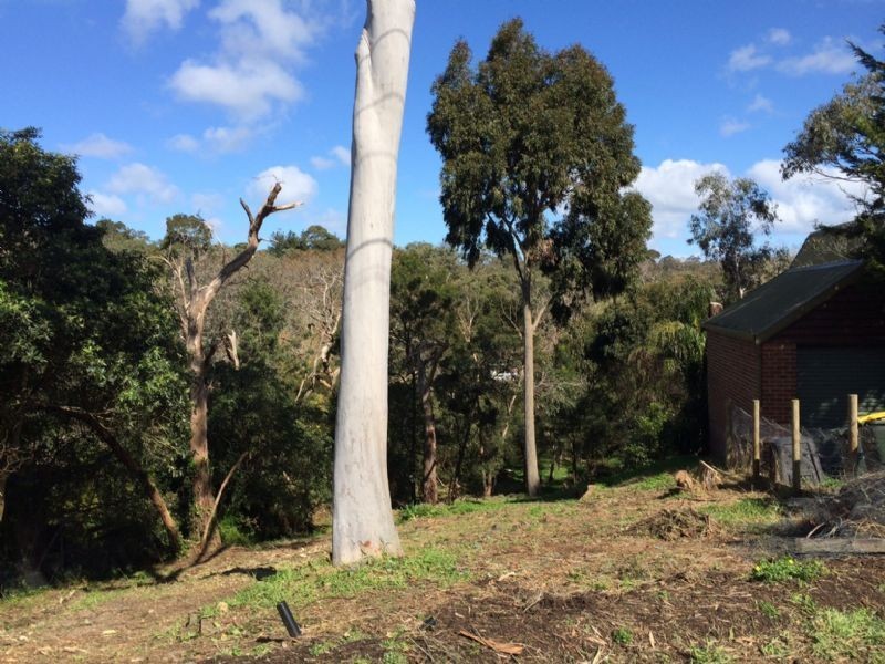 16 Pastoral Street, Frankston South VIC 3199