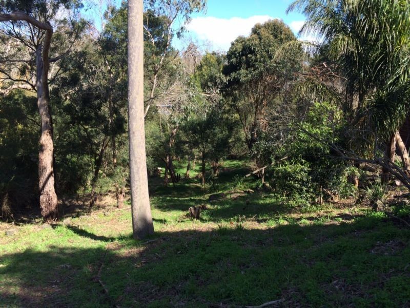 16 Pastoral Street, Frankston South VIC 3199