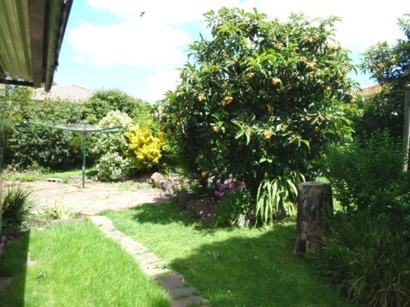 131 Warrandyte Road, Langwarrin VIC 3910