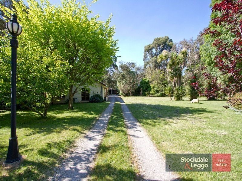 291 North Road, Langwarrin VIC 3910