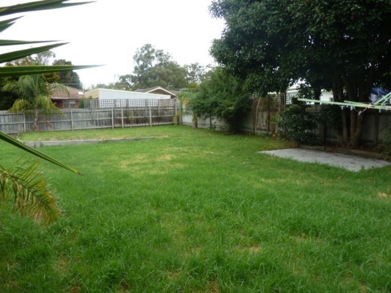 16 Alder Street, Langwarrin VIC 3910