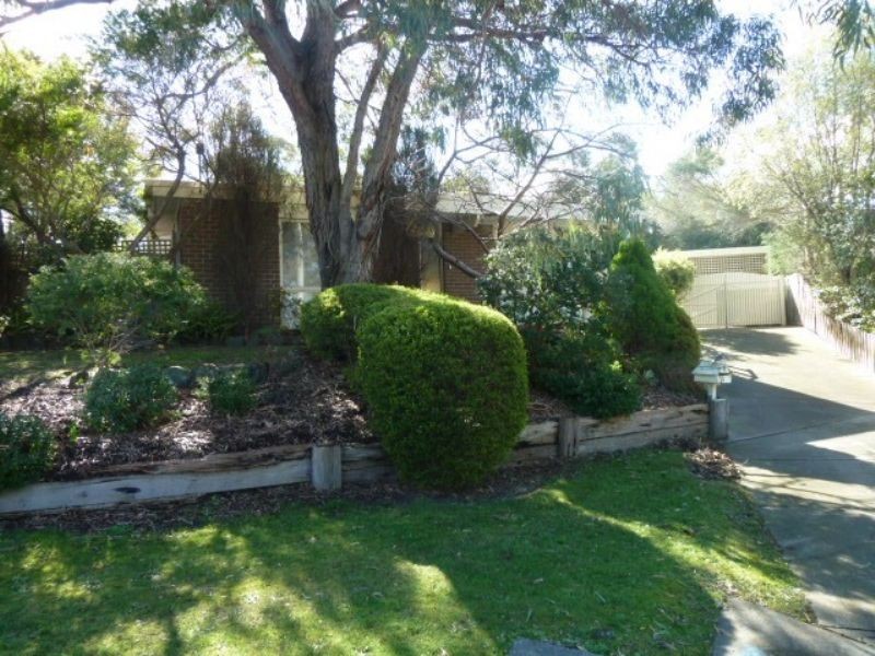 10 Danielle Court, Langwarrin VIC 3910