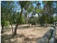 120 McKays Road, Langwarrin VIC 3910