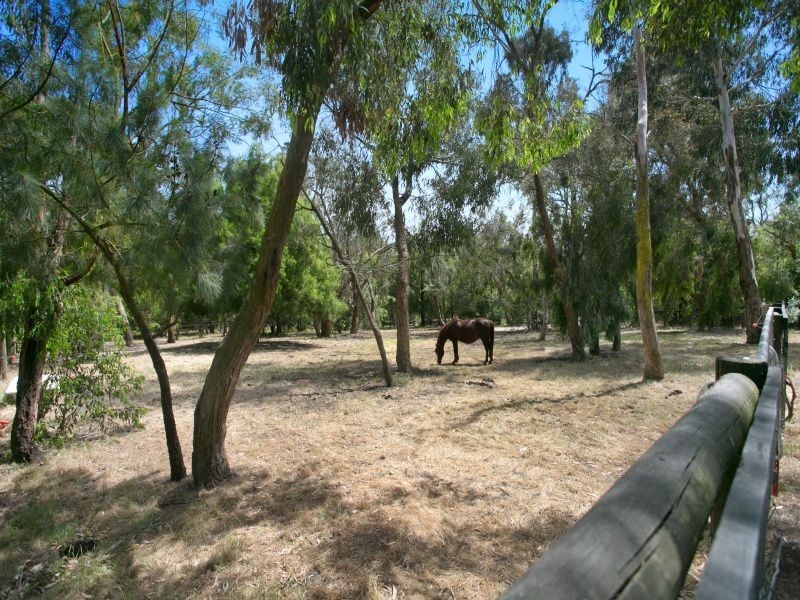 120 McKays Road, Langwarrin VIC 3910