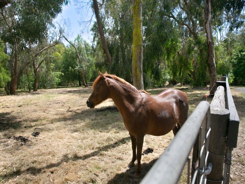 120 McKays Road, Langwarrin VIC 3910