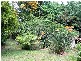 73 Kilvington Drive, Emerald VIC 3782