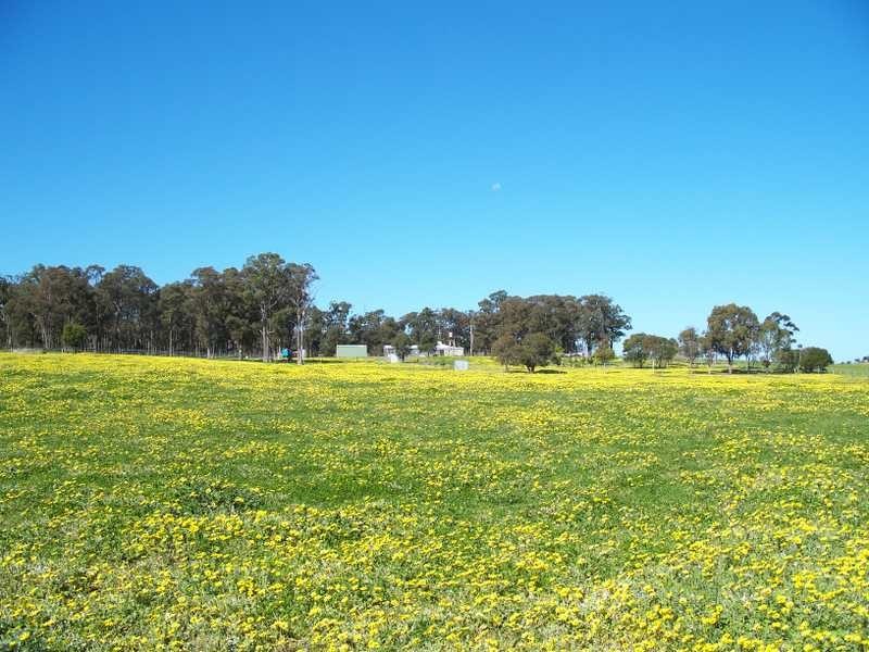 50 Lower Flaggy Creek Road, Flaggy Creek VIC 3875
