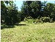 167 Red Road, Gembrook VIC 3783