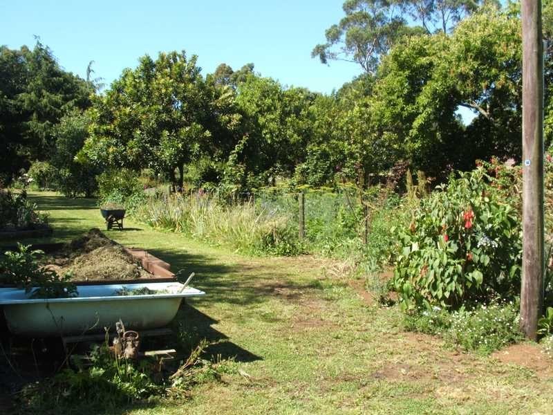 167 Red Road, Gembrook VIC 3783