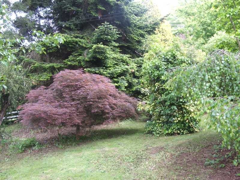 26 Nugent Street, Monbulk VIC 3793