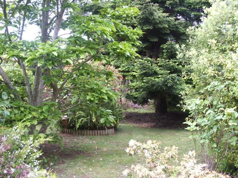 26 Nugent Street, Monbulk VIC 3793