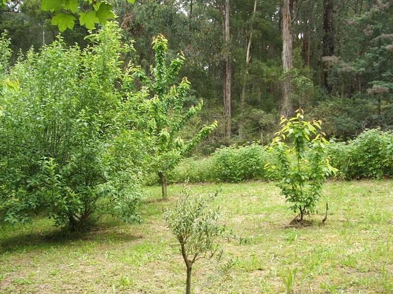 510 Old Emerald Road, Monbulk VIC 3793