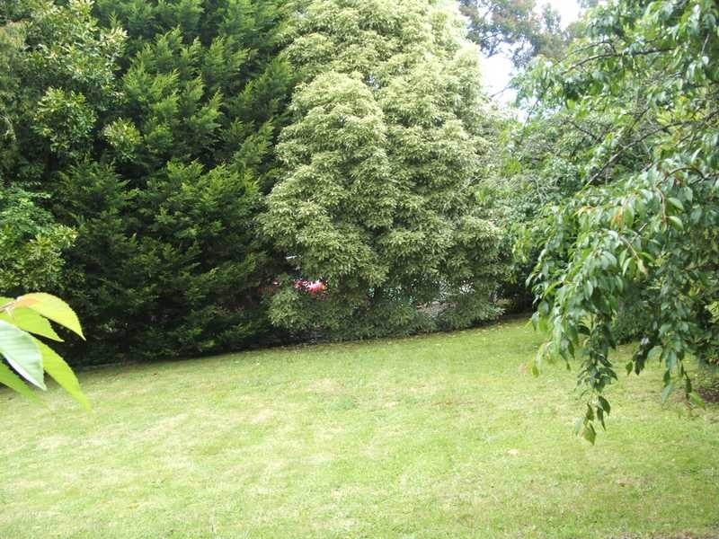 44 Jellicoe Avenue, Monbulk VIC 3793