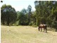 12 Nettleton Road, Monbulk VIC 3793
