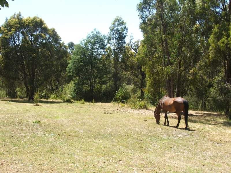 12 Nettleton Road, Monbulk VIC 3793