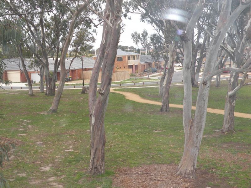 11 Haven Close, South Morang VIC 3752