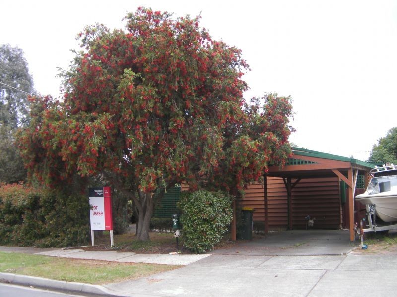 South Morang VIC 3752