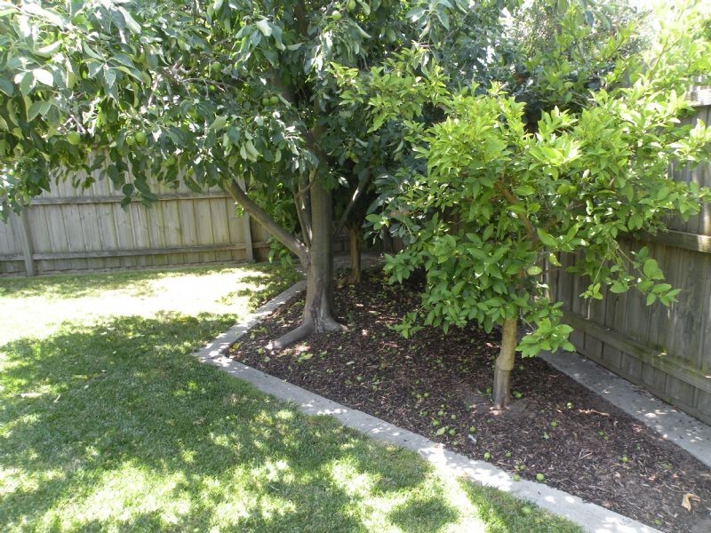 South Morang VIC 3752