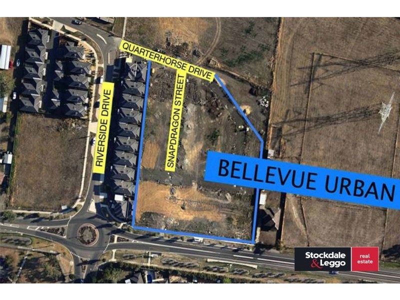 21 Snapdragon Street, South Morang VIC 3752