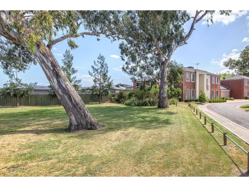 8 Sanderling Avenue, South Morang VIC 3752