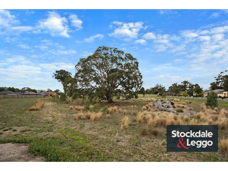 9 Embling Avenue, South Morang VIC 3752