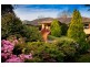 Ferny Creek VIC 3786