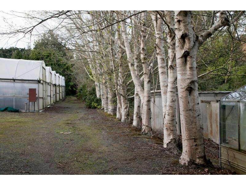 Ferny Creek VIC 3786