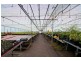 Ferny Creek VIC 3786