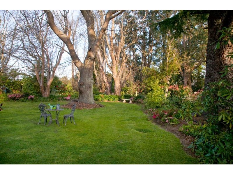 Ferny Creek VIC 3786