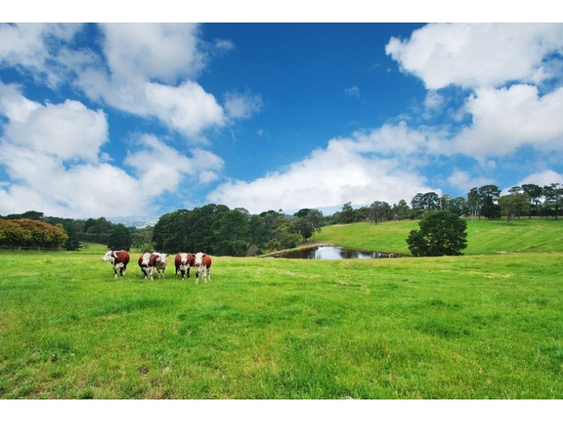 278 Yarra Road, Wonga Park VIC 3115