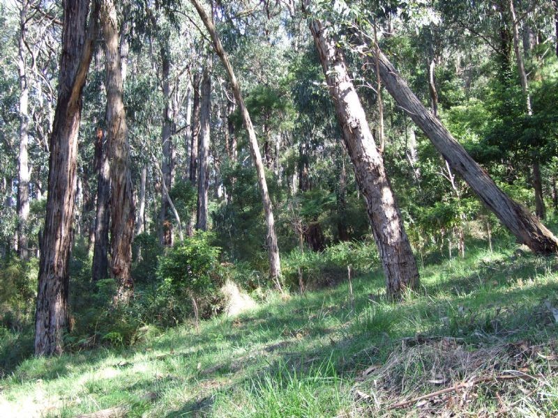 1458 Mountain Highway, The Basin VIC 3154