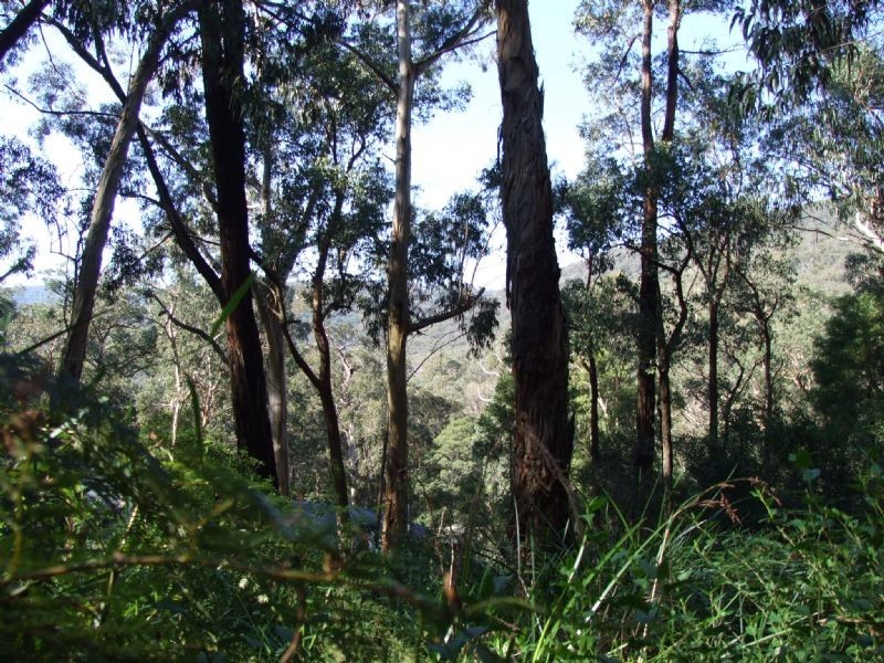 1458 Mountain Highway, The Basin VIC 3154