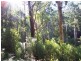 0 Pitt Rd, Hallston VIC 3953
