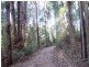 0 Pitt Rd, Hallston VIC 3953