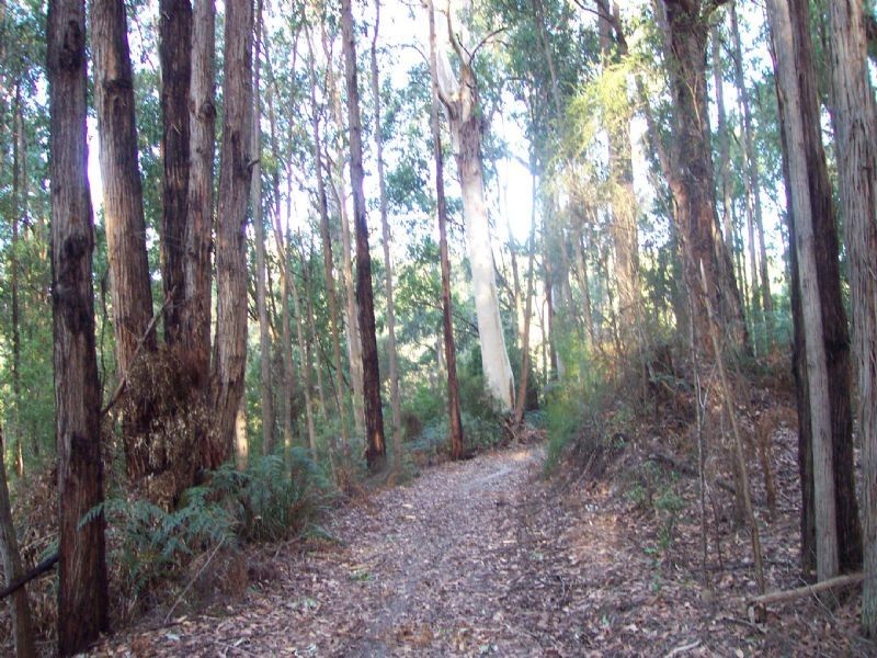 0 Pitt Rd, Hallston VIC 3953