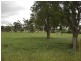 # Dumbalk Road, Dumbalk VIC 3956