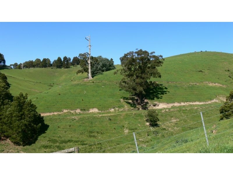 1665 Leongatha Yarragon Road, Hallston VIC 3953