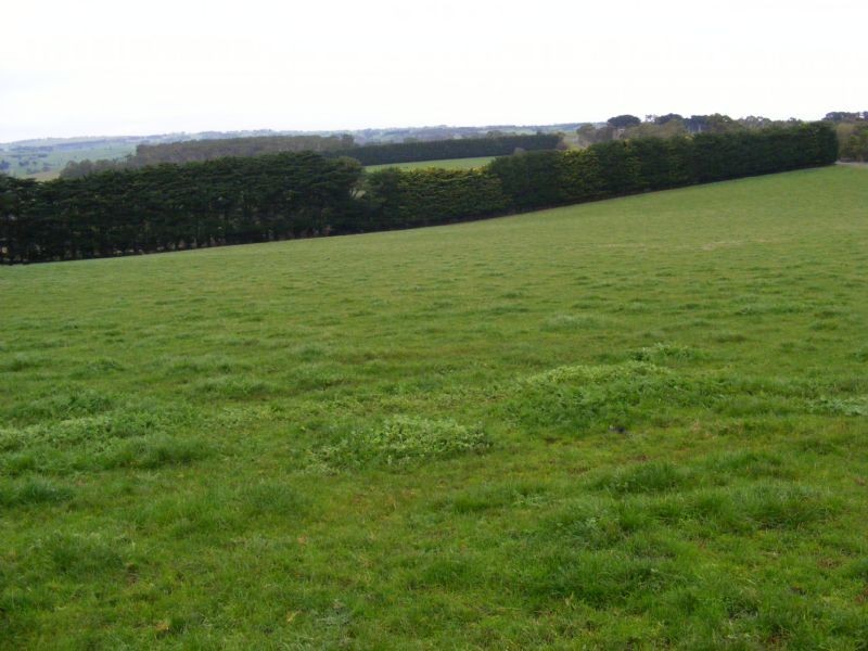 110 Leongatha North Road, Leongatha VIC 3953